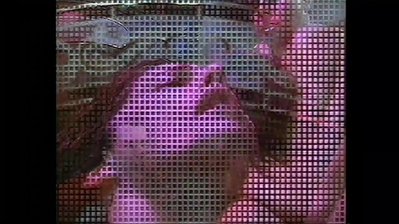 MMV TV - our best full movie: Cock in Pussy at Will