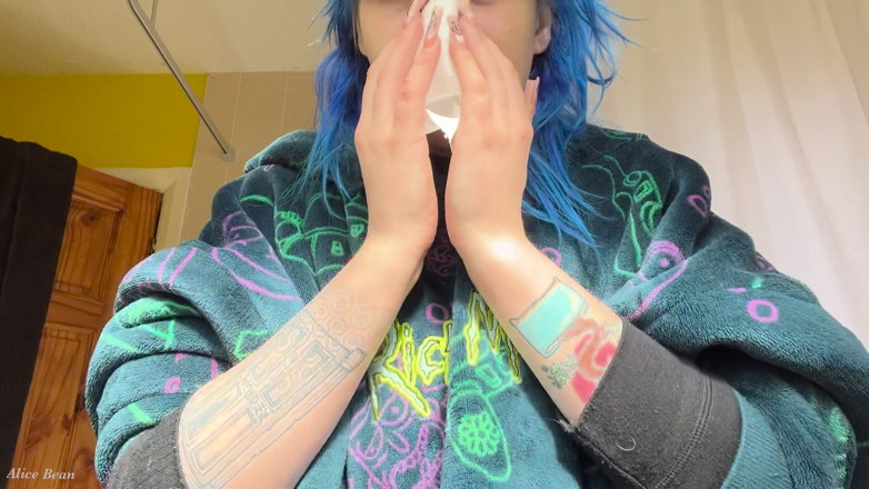 Alice Bean: Hayfever Honks