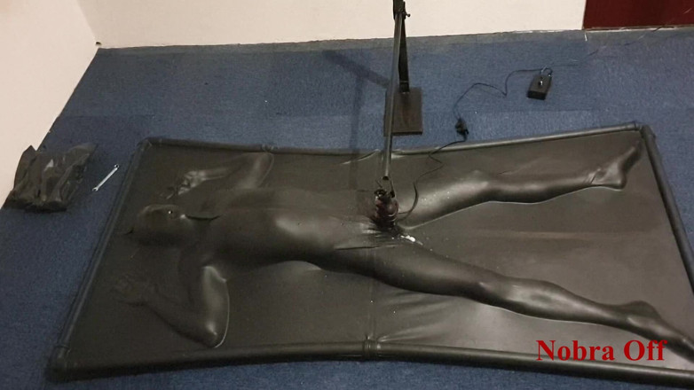 NL Milking: Vacbed dan Nobra dengan timer