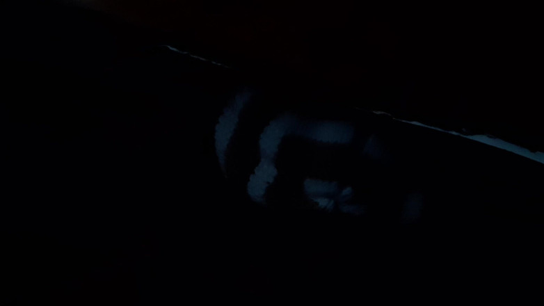 Lesbian-illusion: Быстрый, рискованный лесбийский секс в поезде