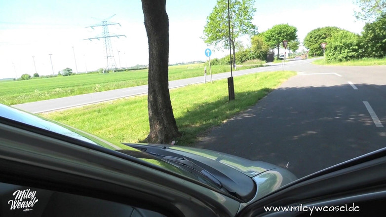 Miley Weasel: 金发女郎在户外被肛交！