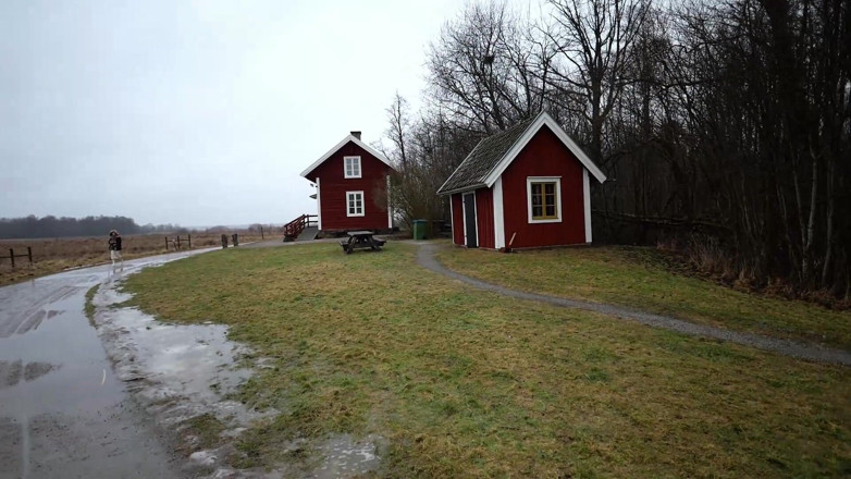 Eronordic: Heißes blondes Mädchen draußen, das Schwanz mag