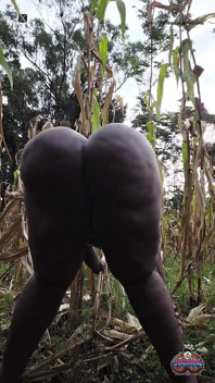 Třesu to venku na vesnické plantáži