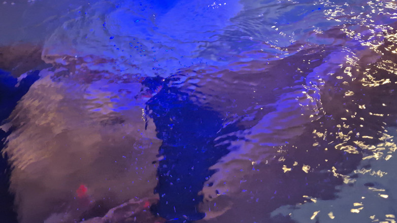 chodasse13: Sesiune de jacuzzi