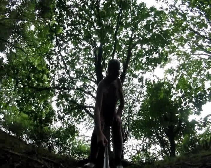 Andy: In the Woods