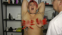 Anna Devot: Prsatá muka pokračuje