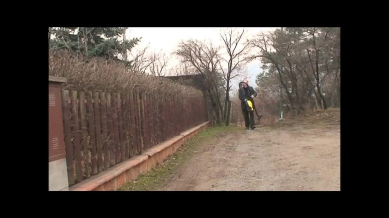 My Dirty Family: ダーティな厄介な物語