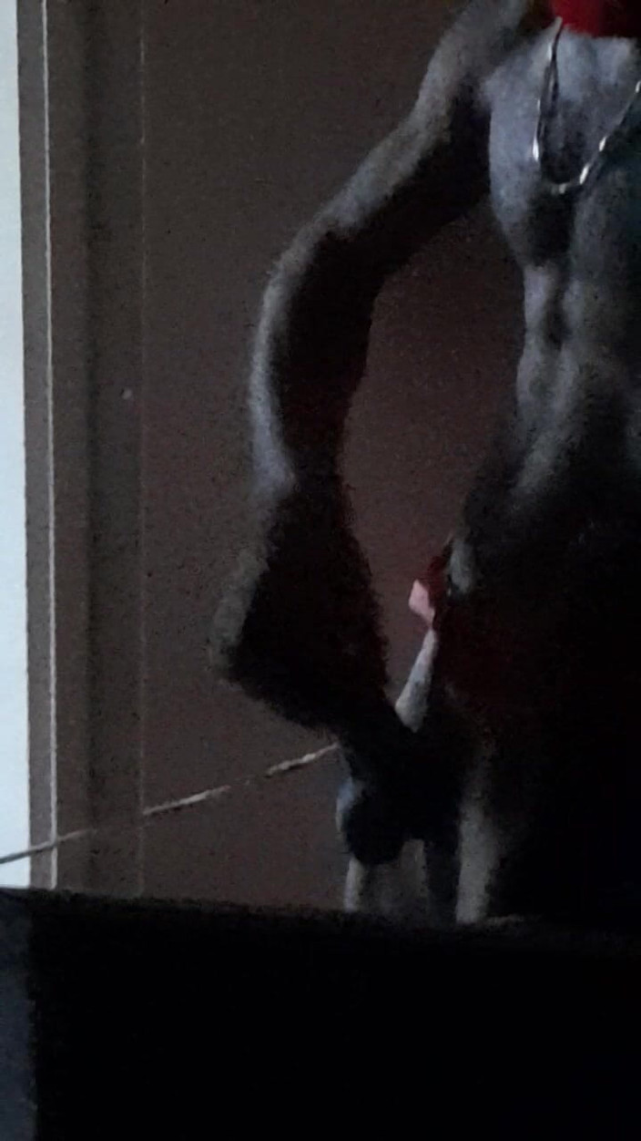 Dorian DomTop: Nadržená vánoční deer začala masturbovat