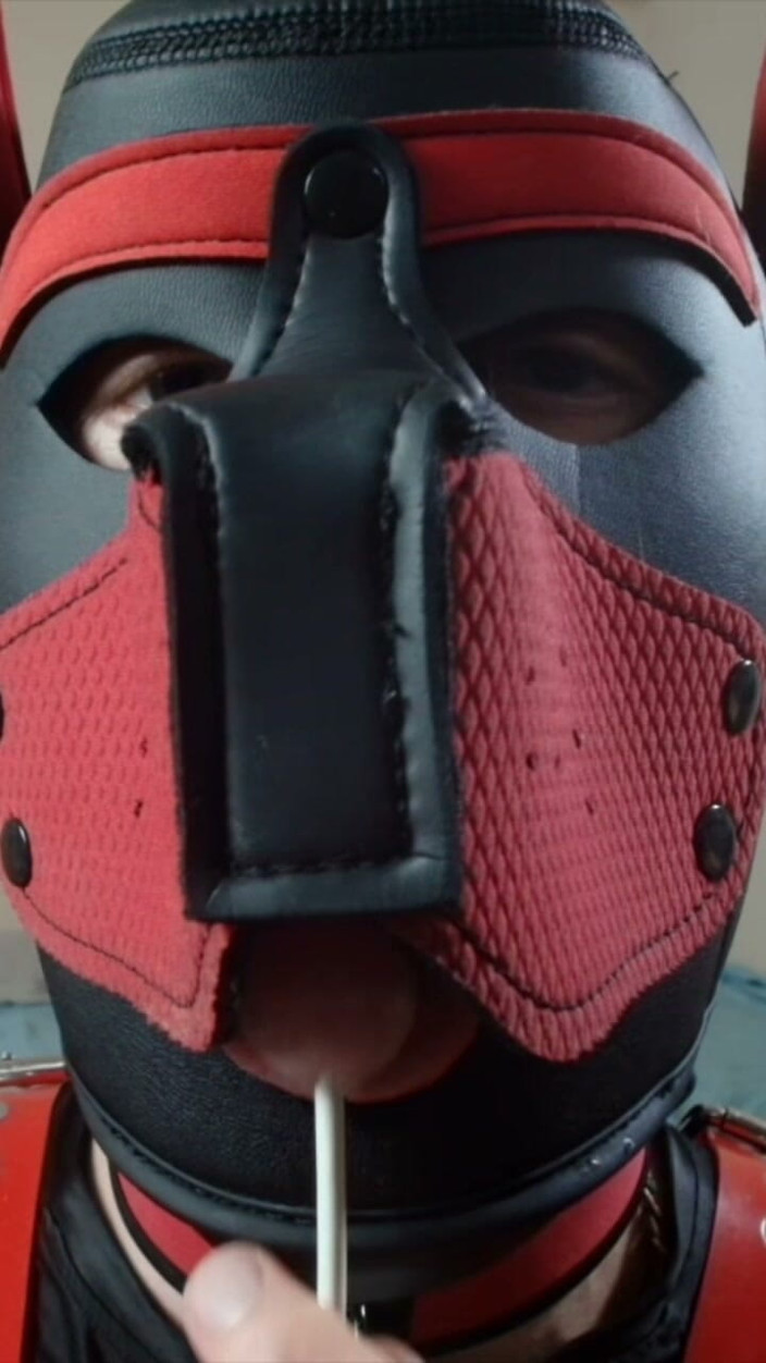 Alex GoodBoy: Pup Sucks His Lollipop up Close