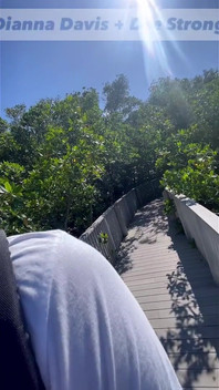 Living Vicuriously Lol