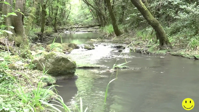 French Amateur Porn: 32 year-old French slut ass fucked by the river