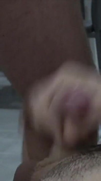 Buen culo de cuatro patas para follar