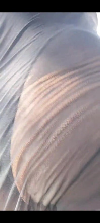 I Still Have a Couple of More Risque Delivery Clips