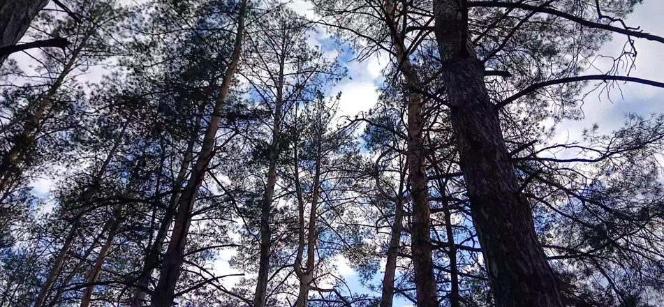 Lesbian-illusion: Risky Female Peeing and Masturbation in the Forest