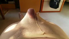 Kit19881127: Sborrata su collant 24