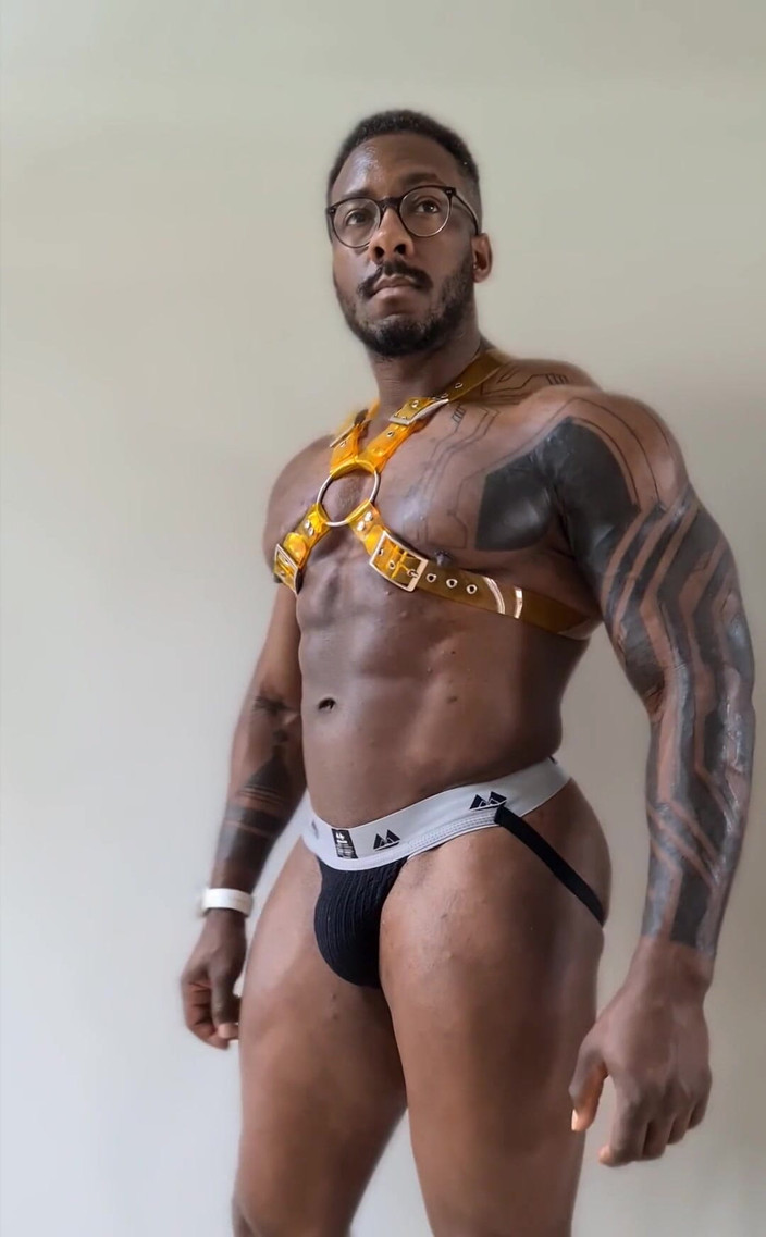 Amadeus: This New Harness Is Fire in Yellow From #stongpup on Instagram...