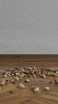 130 kg kadın Fıstık kabuklarında yürüyor - çıtır çıtır sesler