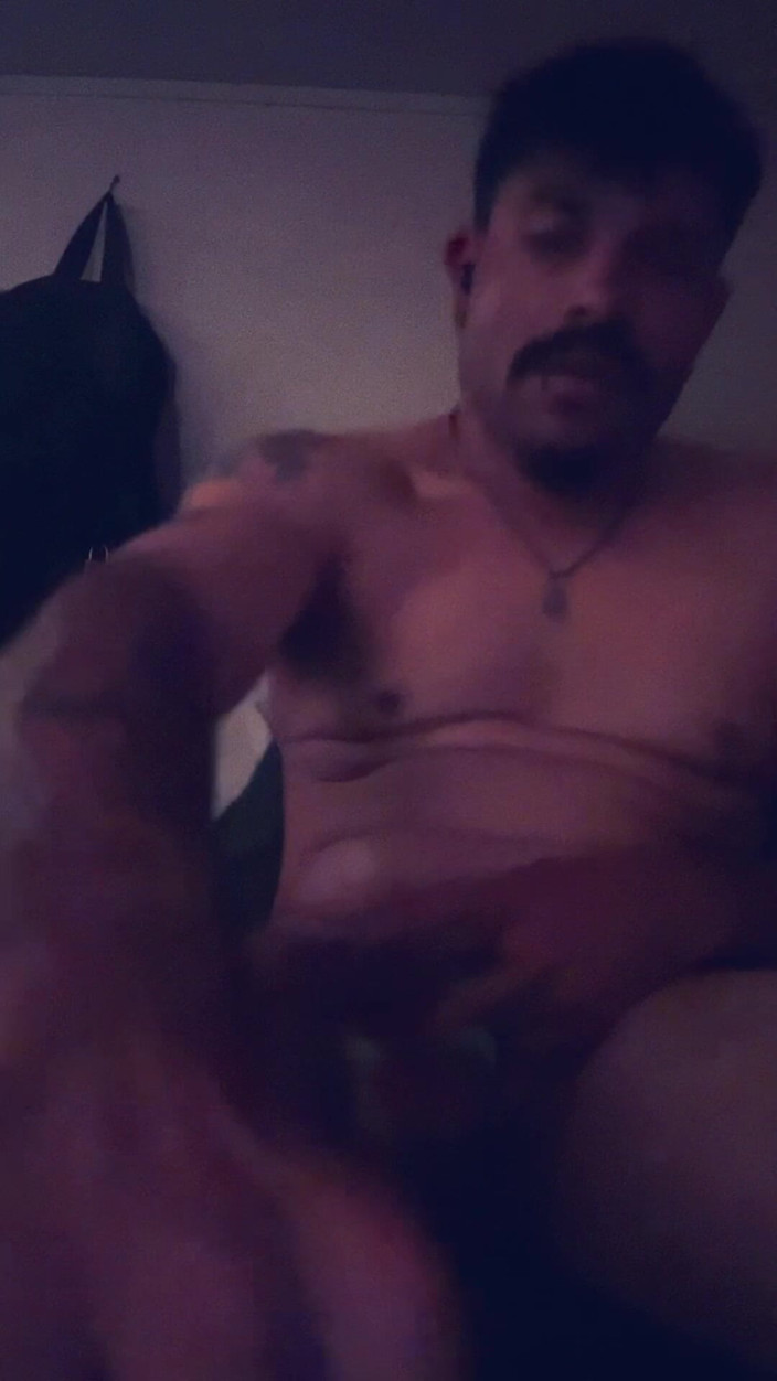 Todamnmuch: Sange coli