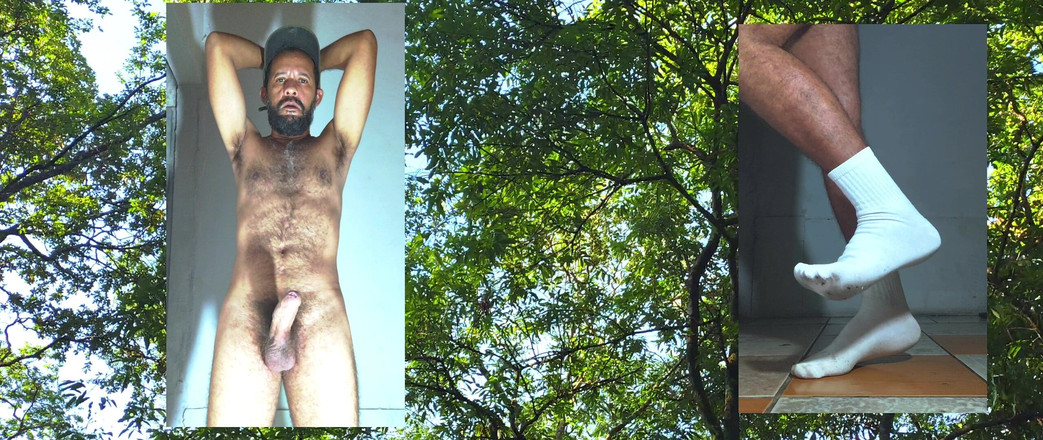 Stink HairyMale: 흰색 양말 시리즈 영감 N. 1