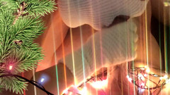 SinfulCat: 隣人が手と口でクリスマスプレゼントをくれました。