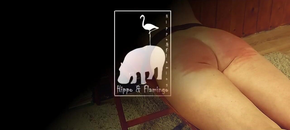 Hippo And Flamingo: Vợ đánh đòn mạnh 2