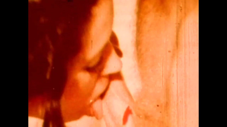 Vintage megastore: 令人垂涎的吸盘