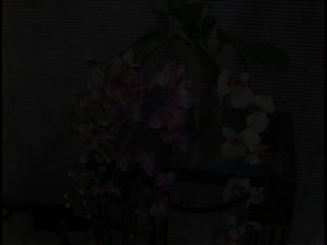 Hot TRANSformations: Güzel memeli travesti erkeklerle dolu bir oda tarafından anal grup...