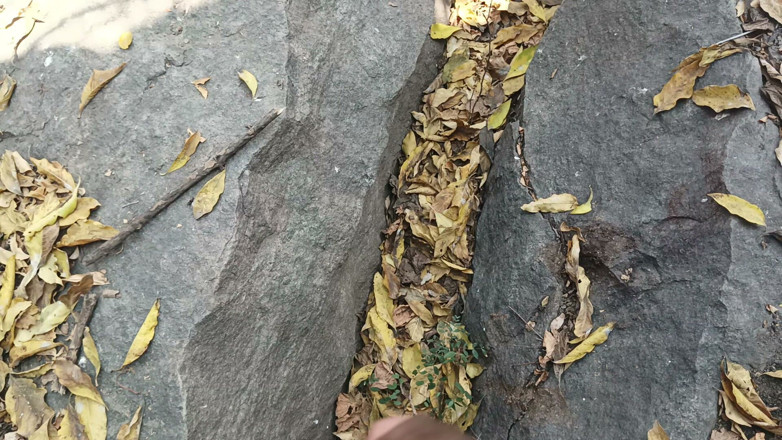 Suthavillagexxx: Tamil Boy Masturbating in the Forest