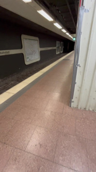 Public: I Jerked Him off at the Train Station