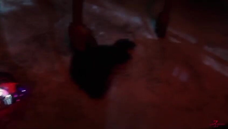 Divide XXX: Dezmall - Сумасшедший трах-трах Харли Квинн