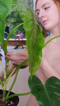 Nude Plant Haul