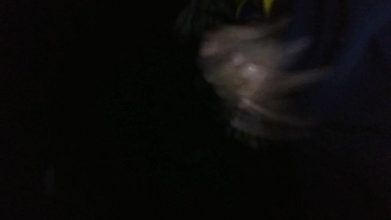AlexAlejandro13: Super agora eu sinto o que é prazer