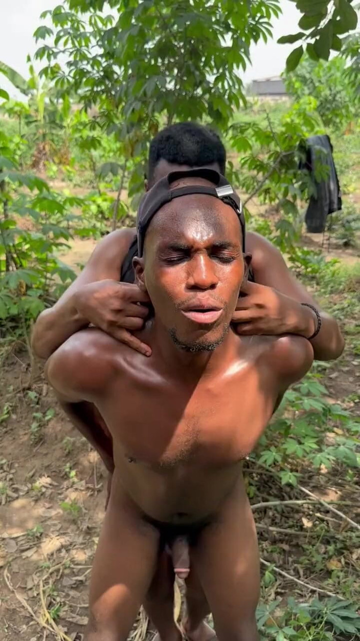 Purplecum: Pula Jos în Tufă