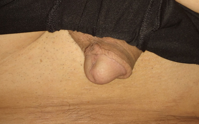 My Pussy Ass (John boy) My Pussy Ass (John boy)