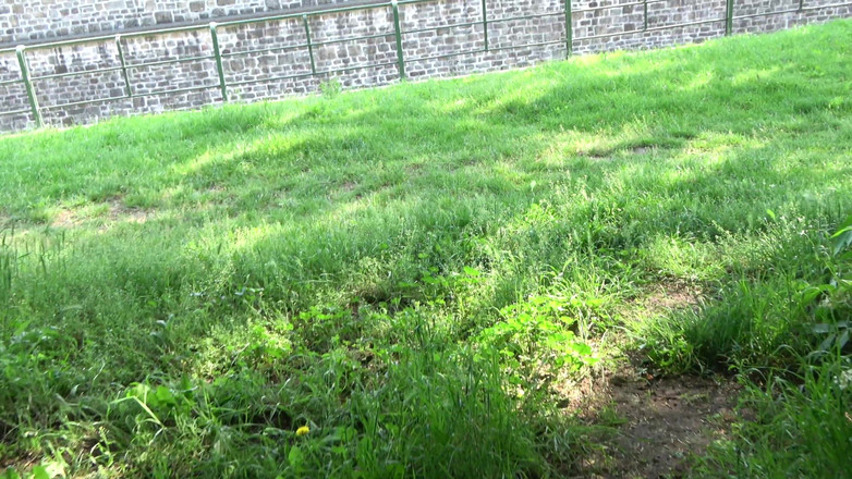 German Amateur Desire - ORRANGE MEDIA: Зроби мене своєю брудною маленькою таємницею