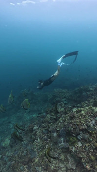 Just Dating the Ocean Will Be Back to Be Your Cum Slut Again Tomorrow