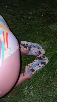 Mehr mitten in der Nacht, gehorsam