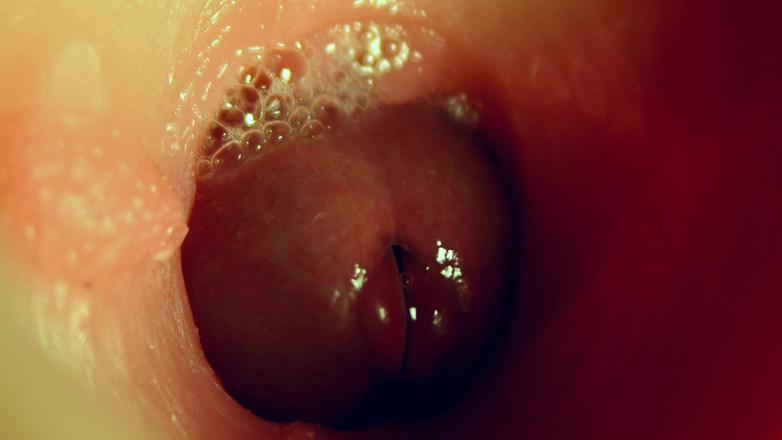 SEXY_GUYBEST: Maravilloso agujero profundo mojado para gran placer de polla!