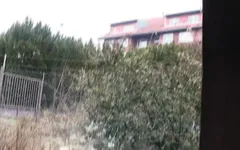 Naughty brunette babe sucks dick until he cums