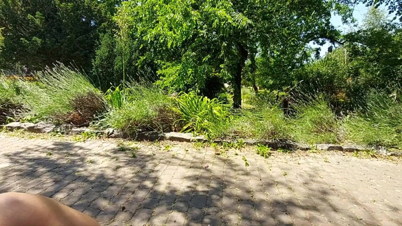 Step Mommy: I Caught a Sexy MILF in the Park for a...