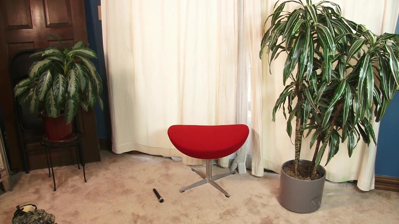 ATK Premium: 클라리사 클레어는 풀 부시 토이 액션을 좋아해