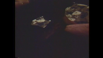 Vintage megastore: Trò chơi mút ngon