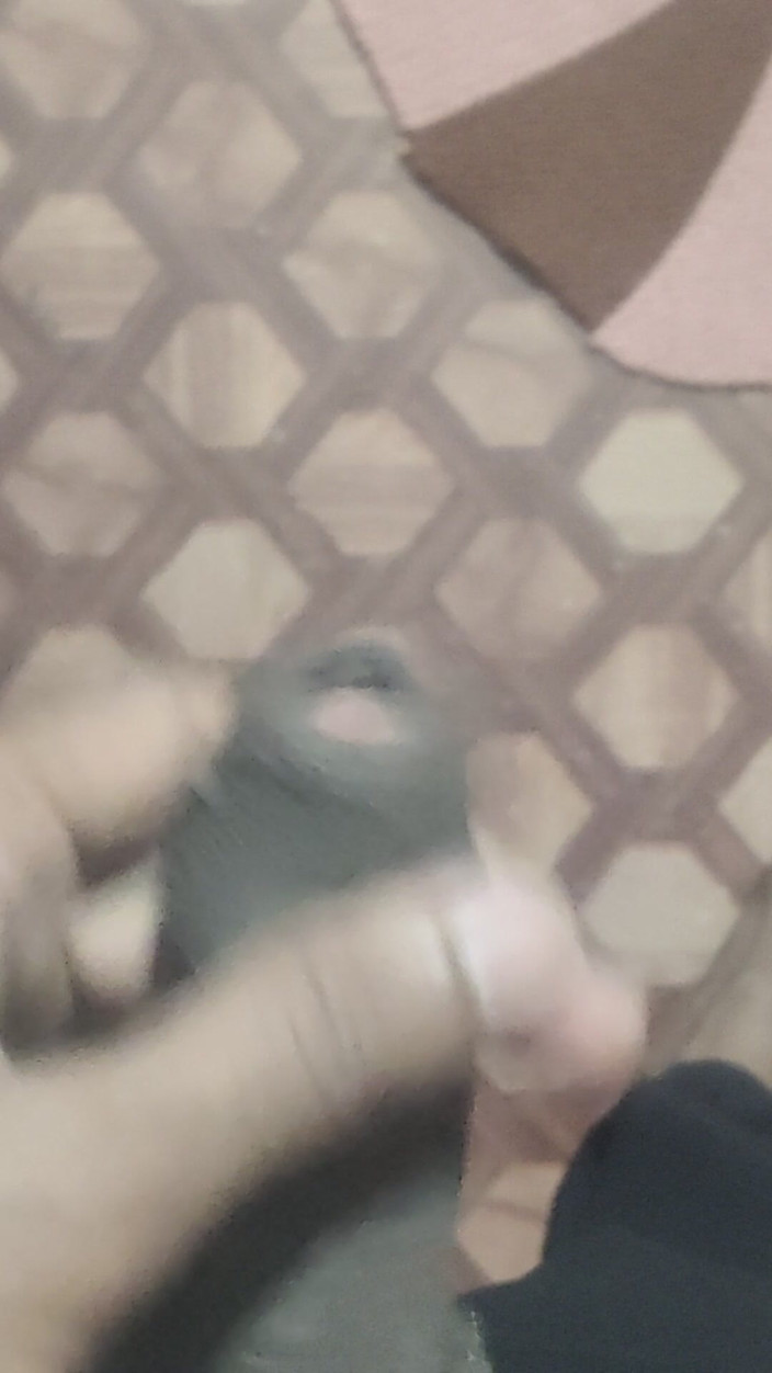 Gigolo Tv: Eres mi único amor