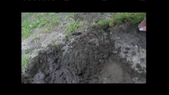 Porn4Life: Michelle B. Sexy Crazy Sucker Lợn