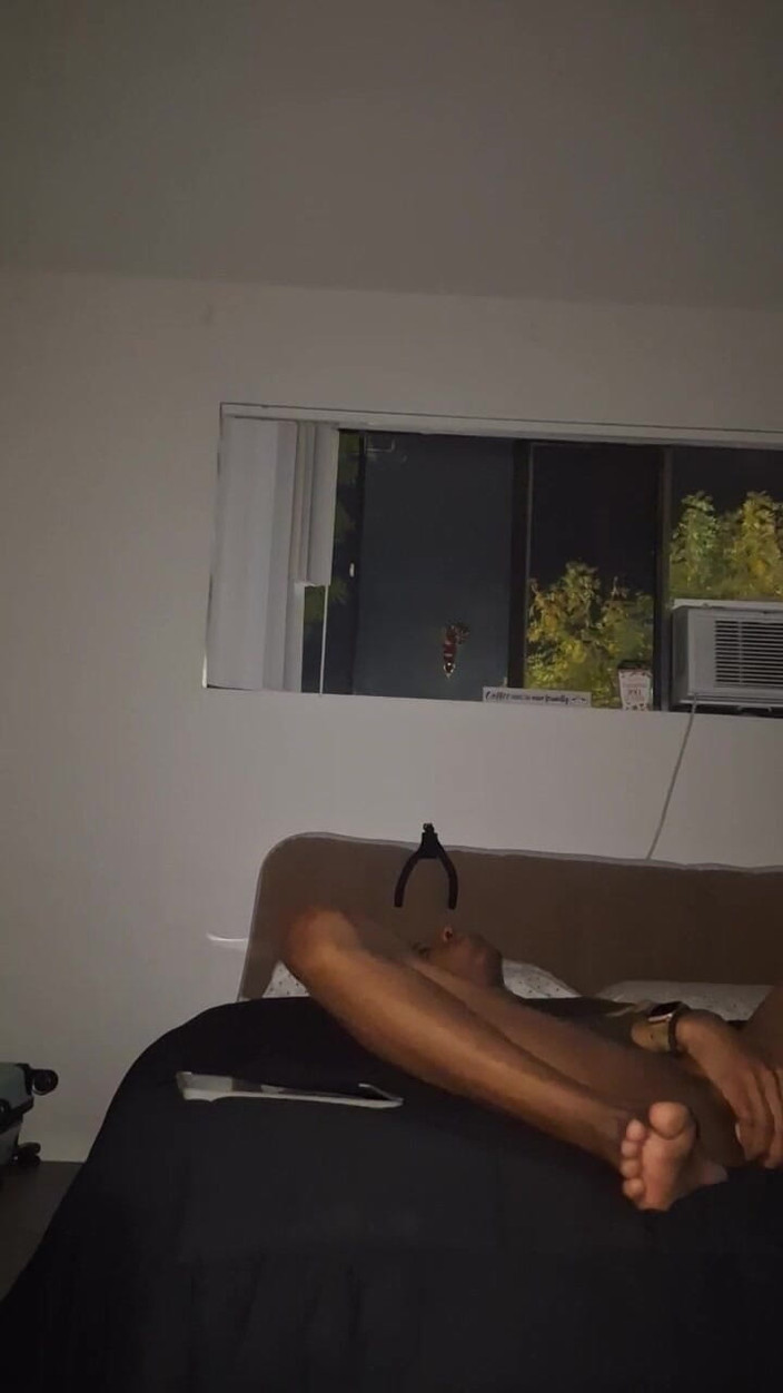 LordDashunKH: Late avond dildo & Aftrekken Sesh