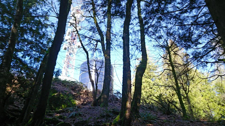 Nerdy_faery: Saya ada Kencing!