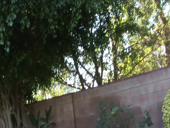 Asja Ent: 이 흑인 창녀가 그의 흑인 대물 자지를 다룰 수 있을까요?