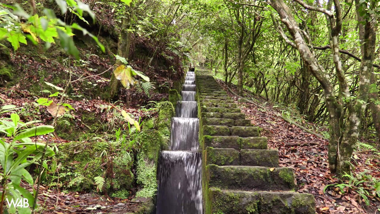 Watch4beauty: Madeira secrets