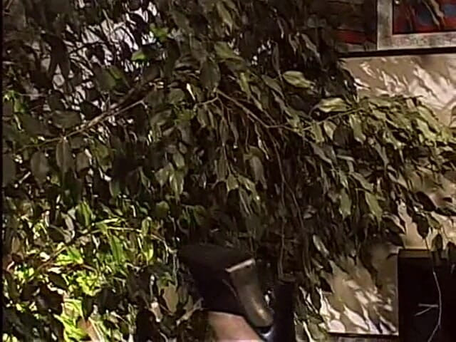 Screw My Wife Club: Klub Screw My Wife: šroubovaná manželka # 55