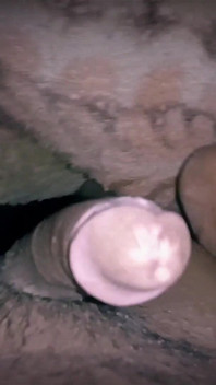 Ja i mój przyrodni brat Haryana Desi Video XXX